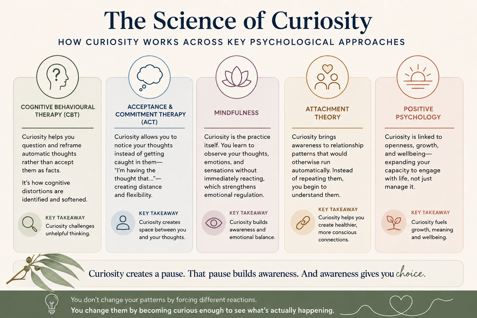 The science of curiosity across cognitive behavioural therapy, acceptance and commitment therapy, mindfulness, attachment theory and positive psychology