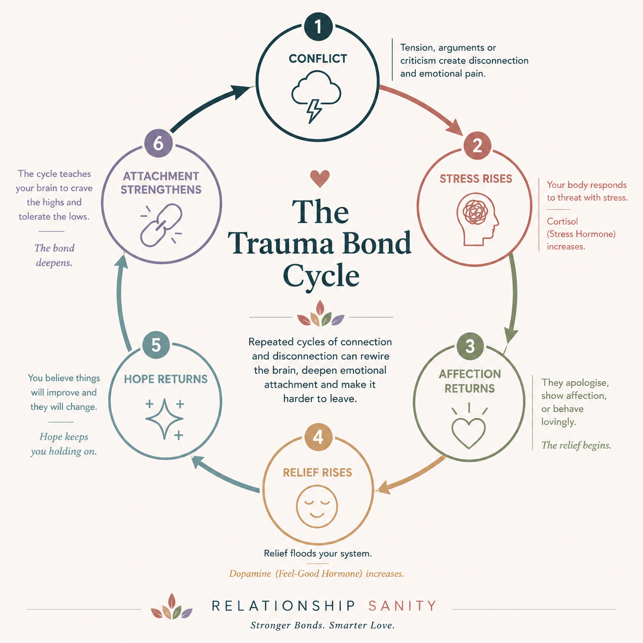 The six-stage trauma bond cycle from conflict and rising stress through affection, relief, hope and strengthened attachment