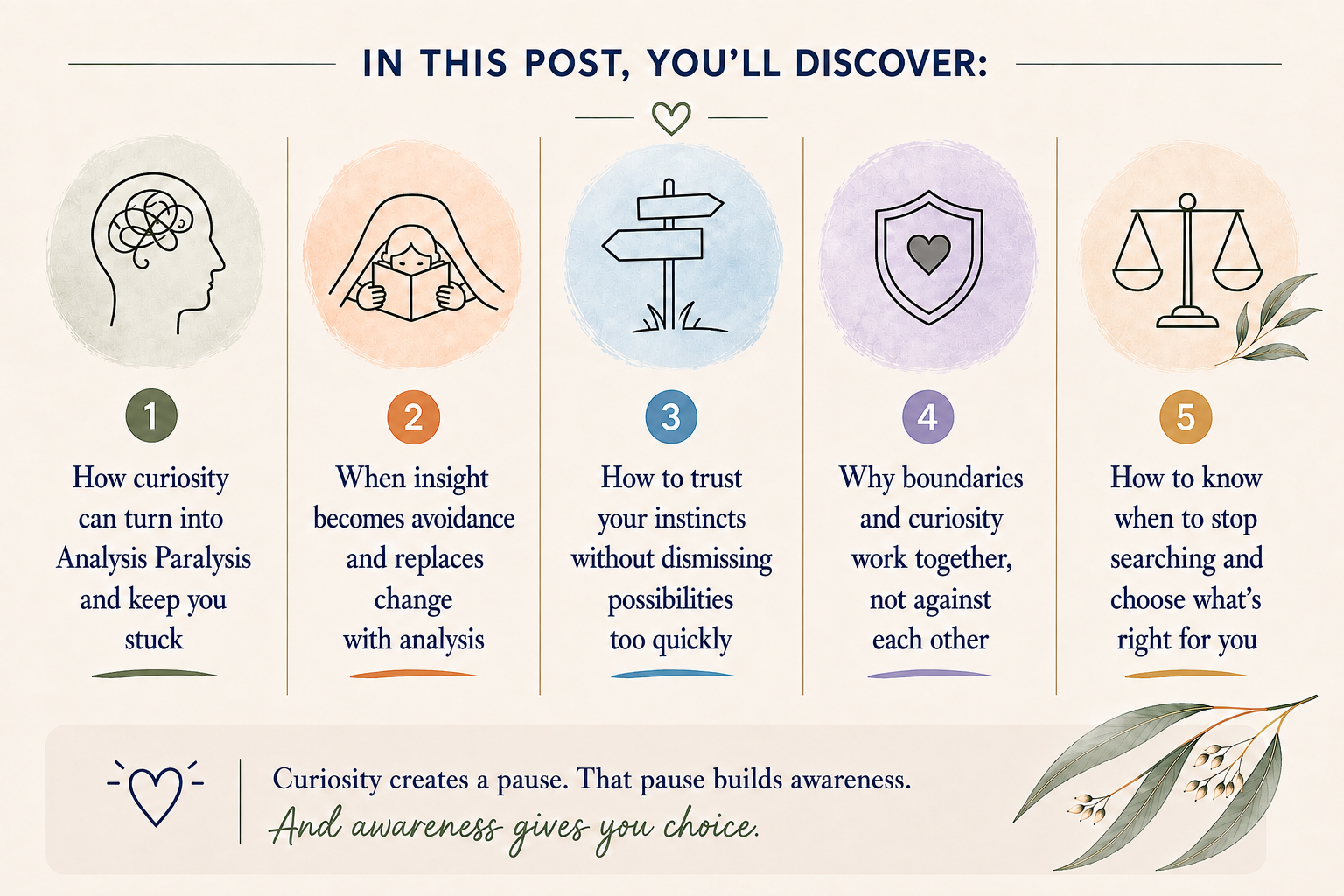 Five things readers will discover about curiosity, analysis paralysis, trusting your instincts, boundaries and knowing when to stop searching.